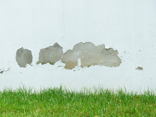 Green Grass and White Wall with crack