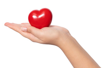 Healthcare concept, female holding heart with love in her hands