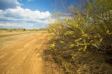 Spring landscape with clouds