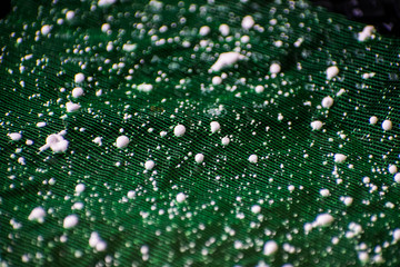 Dark green texture pattern. Abstract background can be use as wallpaper screen, saver brochure cover page. Selective focus