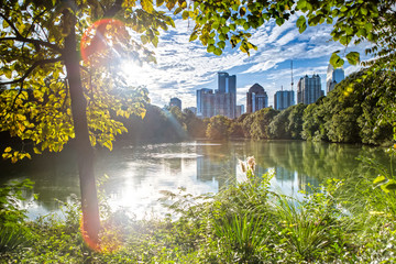 Atlanta Skyline from Piedmont Park