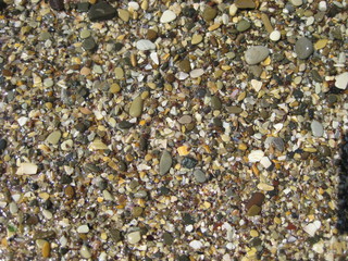 Small stones on the beach. Pebbles-stones lying on the beach, right by the water. Colorful stones are wet and shiny in the sun.