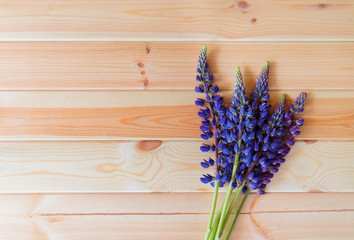 Blue wildflowers lupine on wooden background. Top view with copy space.