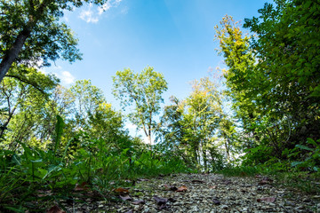 Obraz premium Romantic landscape Koenigsbronn