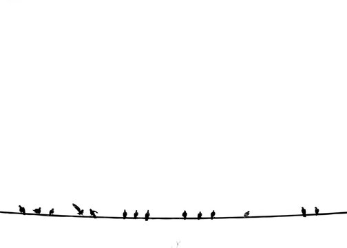 Bird on a wire silhouette