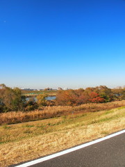土手から見る江戸川河川敷風景