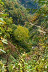 秋の大田切渓谷