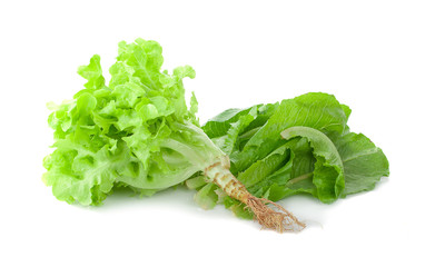 Fresh vegetables isolated on white