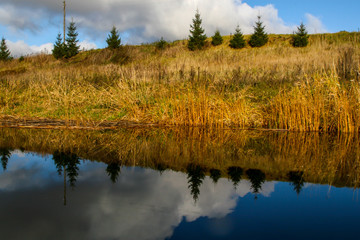 Autumn landscape with colorful trees, yellow grass and river. Reflection in river