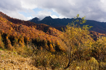 秋色に染まり始めた山々