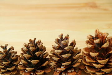 Natural dry pine cones lined up on light brown wooden background with free space for text and design 