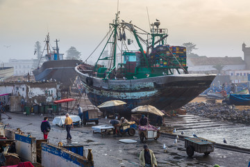 In the old fishing port of Essaouira.