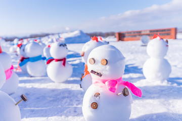 北海道の冬 札幌 羊が丘展望台からの雪景色