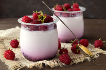 Homemade healthy diet yogurt with raspberries. selective focus