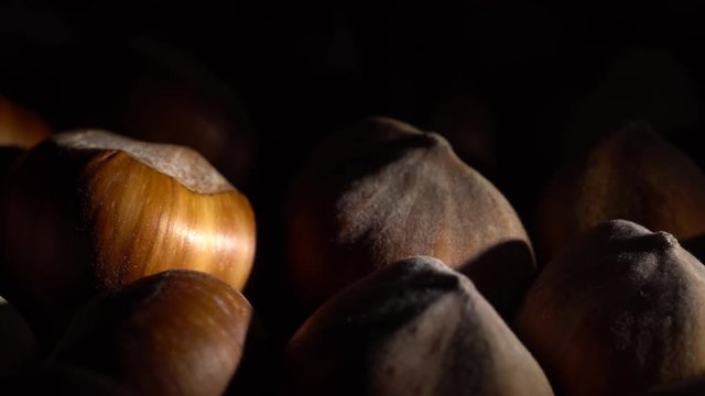 Hazel nuts in nutshell. Rotation. Closeup. Selective focus. Healthy food concept.