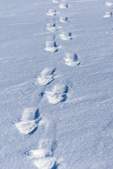Human footprints on white snow as a background