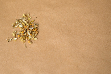 Fototapeta na wymiar Grain oats are in the background of kraft paper.