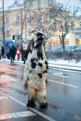 Habergei&szlig;, Habergoa&szlig;, Julbock, Ziege, Schreckziege, Tiermaske