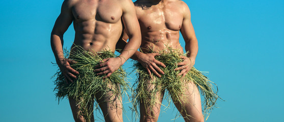 Too much muscle. Pair of twins with muscular body in summer. Sexy men enjoy summer day. Naked twins with fit body covering by hay. Muscular men with six pack abs