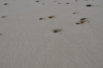 Skagen Danimarca