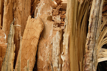  Old tree texture background pattern crack old brown for design. Tree trunk