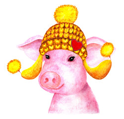 Portrait of pig. Watercolor illustration.
A pig in a knitted winter hat. Illustration painted with watercolors for design, decoration.
