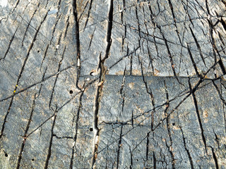 An old wooden surface texture, close up view. Striped wooden surface background. Abstract pattern. Grey wood structure. Abstract background