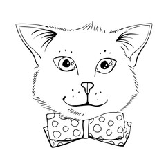 Cute little kitten in a bow tie, vector