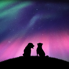 Dog friends in park at night. Vector illustration with silhouettes of two animals sitting on hill. Northern lights in starry sky. Colorful aurora borealis