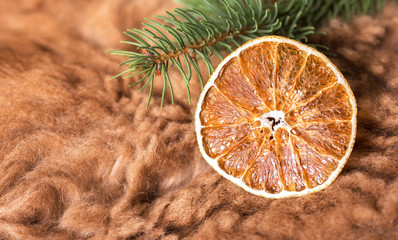 Dried orange slice with pine branch on brown background