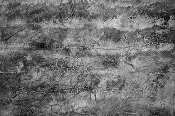Fototapeta premium Grunge texture concrete wall