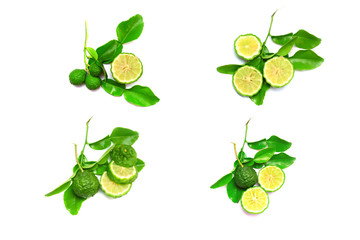 a group of bergarmot on white background isolated