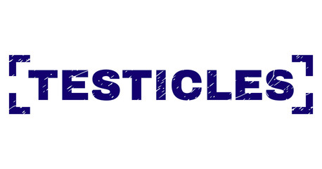TESTICLES tag seal print with corroded texture. Text caption is placed inside corners. Blue vector rubber print of TESTICLES with corroded texture.