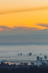 Mystic view on forest under haze at early morning. Mist among tree silhouettes under predawn sky. Gold light reflection in water. Calm morning atmospheric minimalistic landscape of majestic nature.