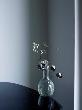 Plant in glass vase