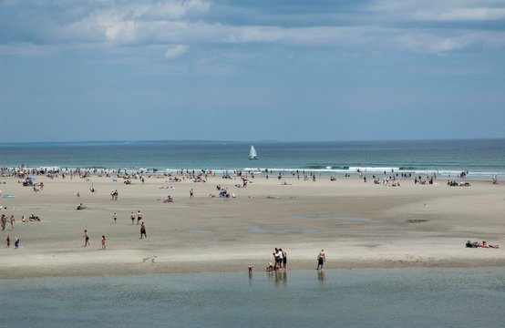 Sailing by the Beach - Powered by Adobe