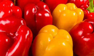 colorful mix of the freshest red and yellow paprika, bell pepper