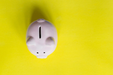Piggy bank on the colorful background.