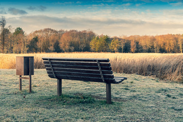 Wooden bench for rest and a garbage bin