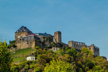 Fototapeta na wymiar Burg Rheinfels an einem schönen Sommertag