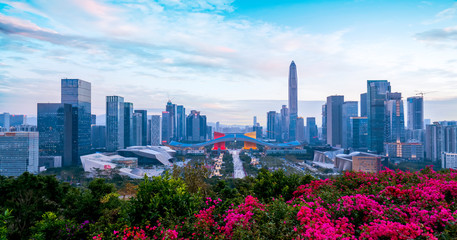 Shenzhen City Skyline and Architectural Landscape Nightscape..