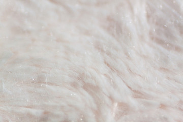 Macro detail of light shaggy fur texture background