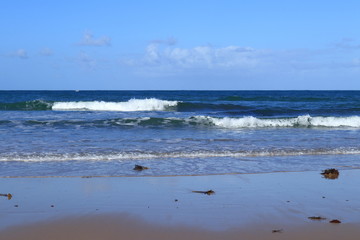 algae on wet sand with blue sea in background