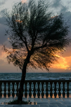 Livorno,viale Italia.