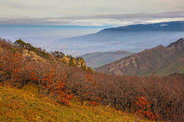 autumn in mountains