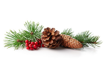Christmas decoration of holly berry and pine cone - Powered by Adobe
