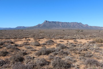 Arid drought stricken landscape with flat mountain in the far distance in the central Karoo.