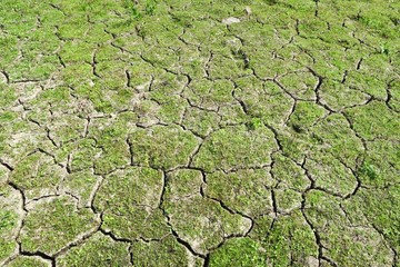 Details des ausgetrockneten Edersees bei Bringhausen in Nordhessen