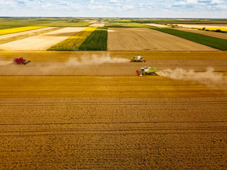 Harvesting in autumn
