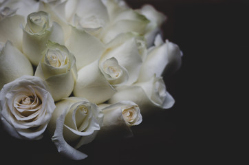 White roses in a dark atmosphere - concept of things gone wrong, divorce, separation and unhappiness